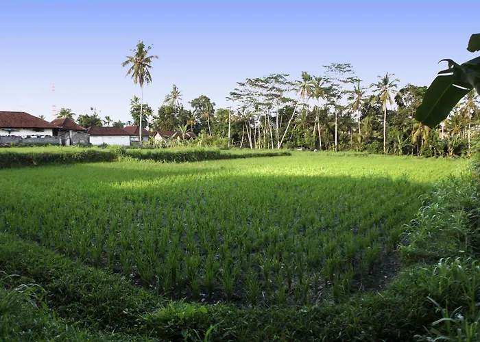 Bali Sunshine Privatunterkunft *